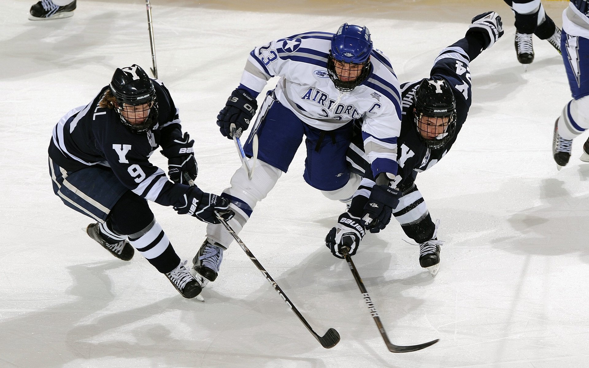 麦金托什女子自由泳项目冉冉升起新星，麦金托什的著名作品
